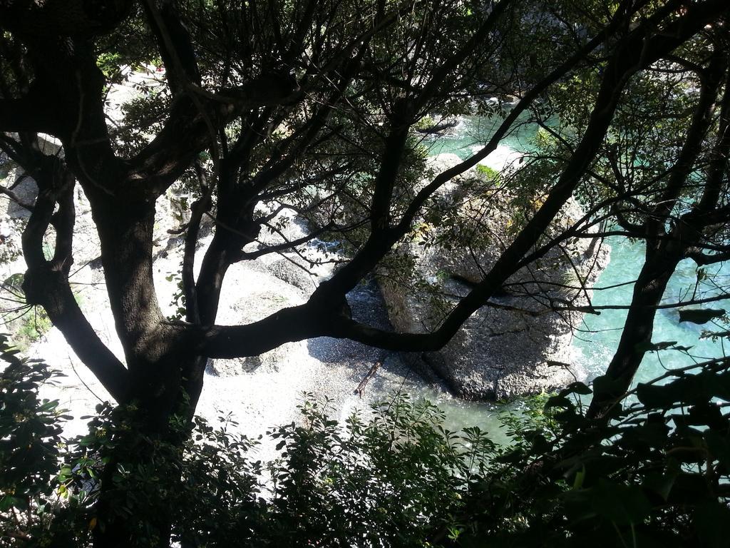 Civico 3 Lägenhet Portofino Exteriör bild